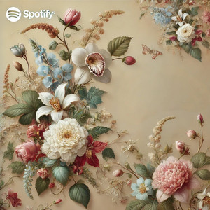 It's about beauty! — Pablo Murad